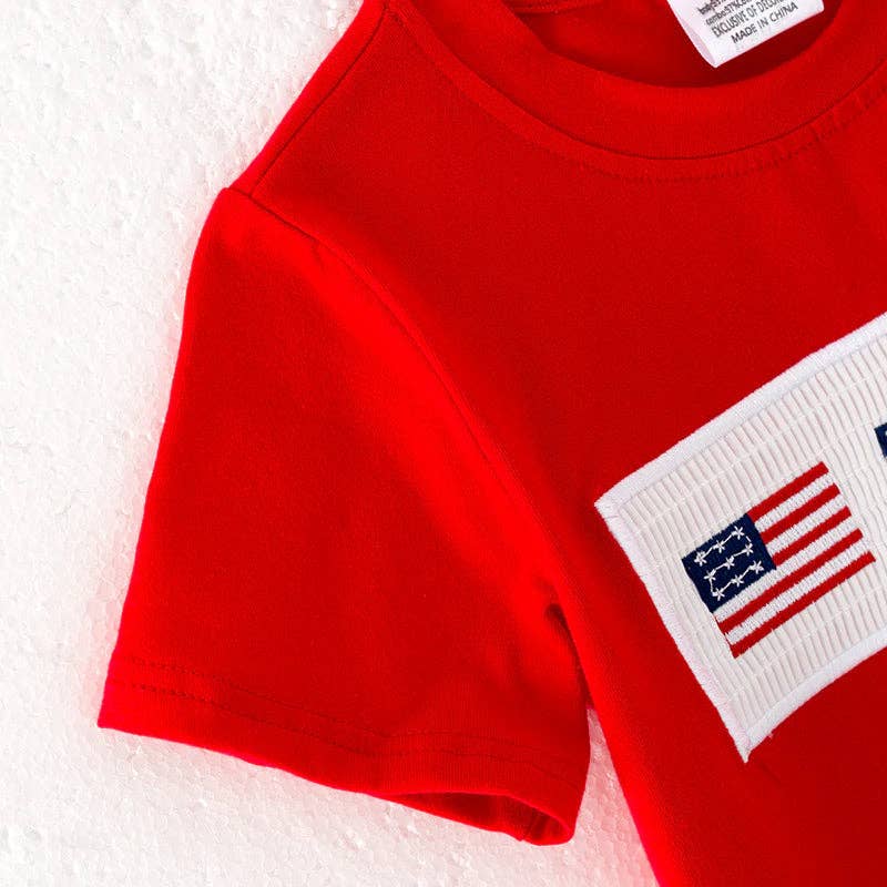 Boys July 4th Flag Smocked Embroidered Short Set
